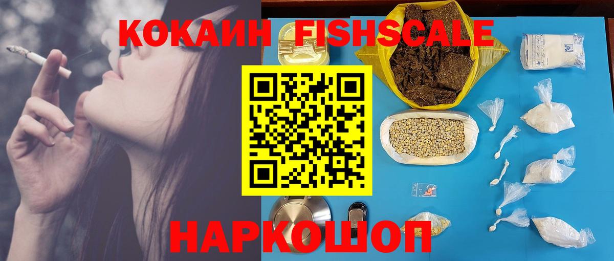COCAIN Fish Scale  Камышлов 