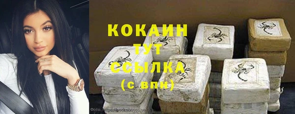 амф Костерёво