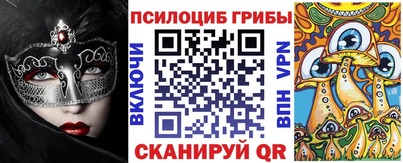 Купить закладки  Камышлов  Галлюциногенные грибы GOLDEN TEACHER 