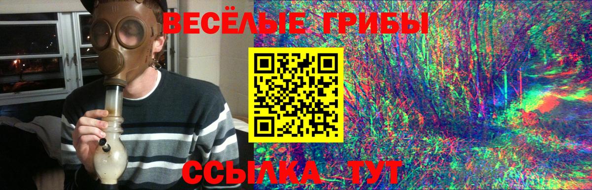 Бутират Камышлов