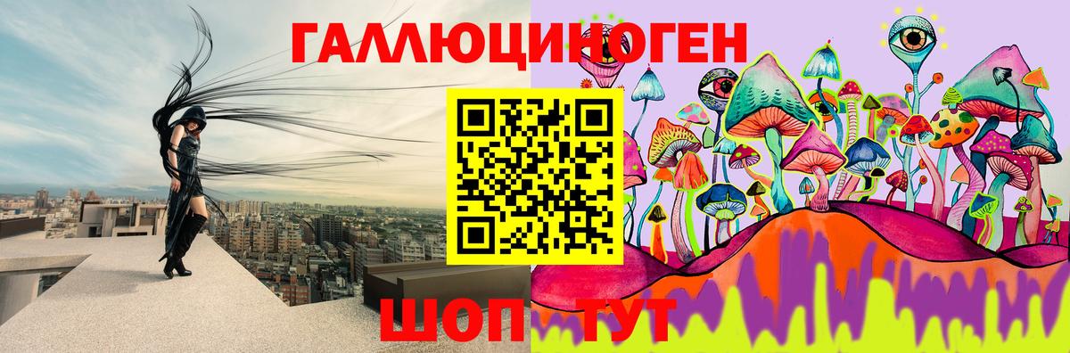 Псилоцибиновые грибы ЛСД  Вход с VPN  Камышлов 